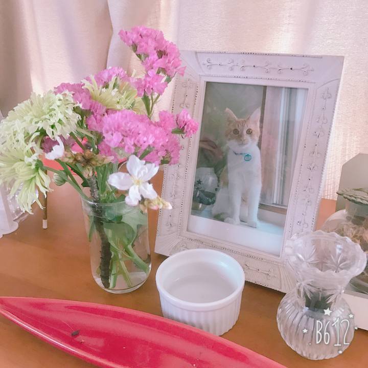 C2d1d87f e67e 4f9b a659 2b47a0276cc9