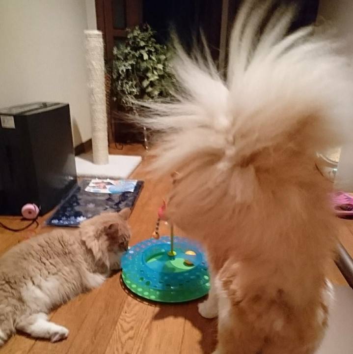 C2d278d8 fc7b 4795 a155 b235c295d44f