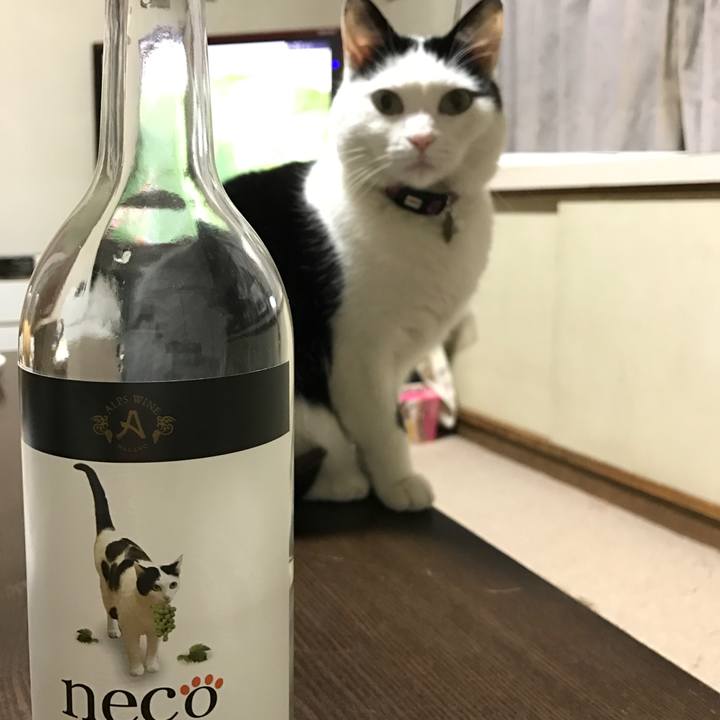 C2d2e610 0af5 4c7b bafb 3c9af21ba8f4