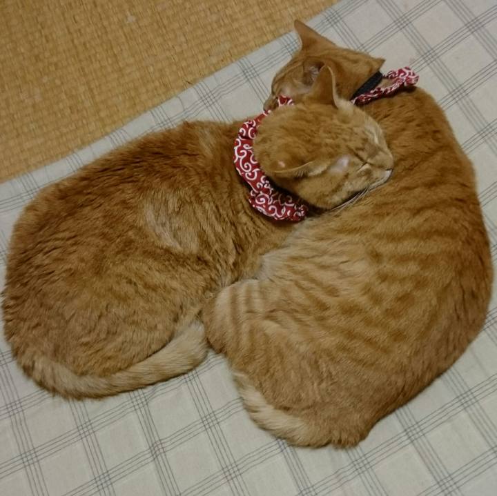 C2d34de9 765b 4490 98a4 980c2de588a3