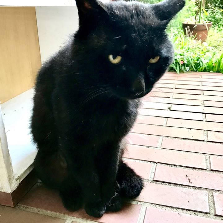 C2d41ff7 b8da 44f1 981e 484c4c255ee6