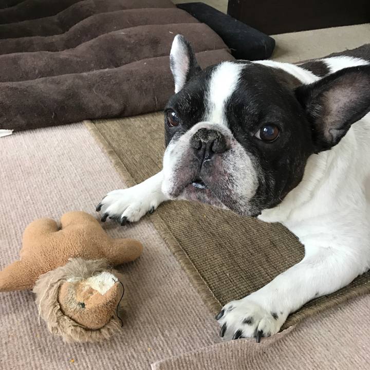 C2d59082 13ec 42fb ad7a bb6d5b5c2356