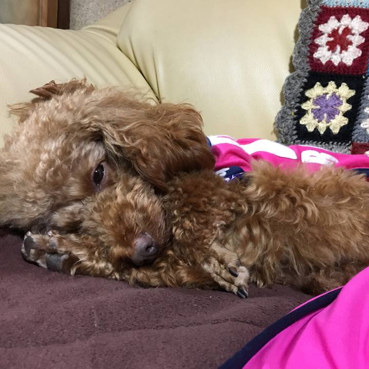 C2d66a46 c153 4d61 8bb8 752a28ea8144