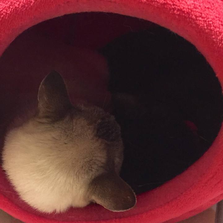 C2d73b77 0459 46a6 bb08 750188579b07