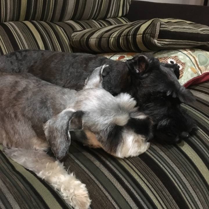 C2d77ee4 e7d3 466b a1c5 9a34d84009a7