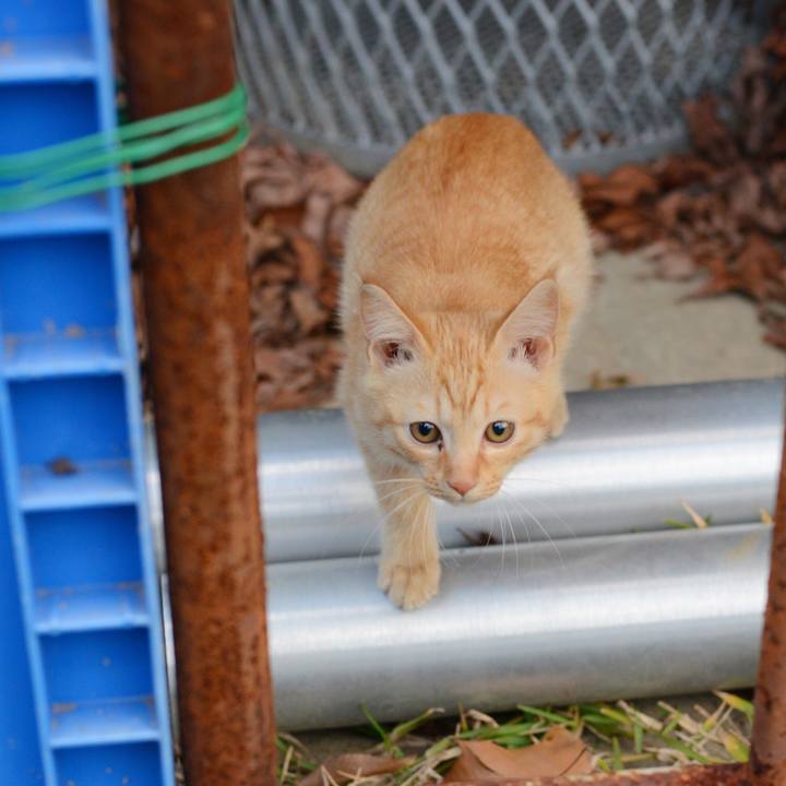 C2d79df4 6062 454f 9a77 50dba2884313