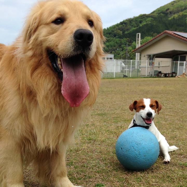 C2d7b716 f868 4b5e 9ab3 1e4fd557c3b4