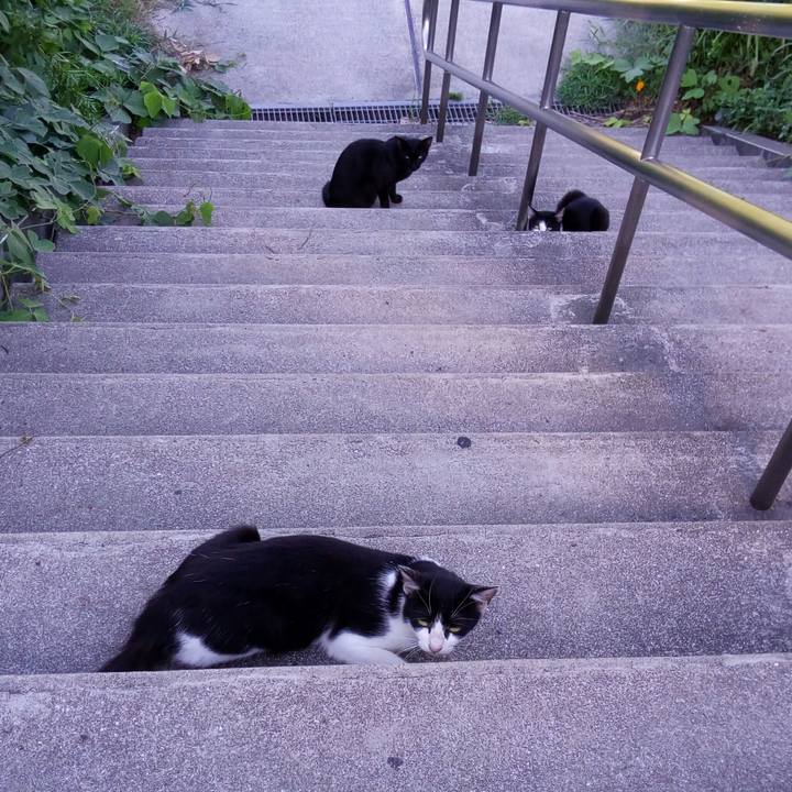 C2d80418 d191 4f9f 8fad 6da691e2160b