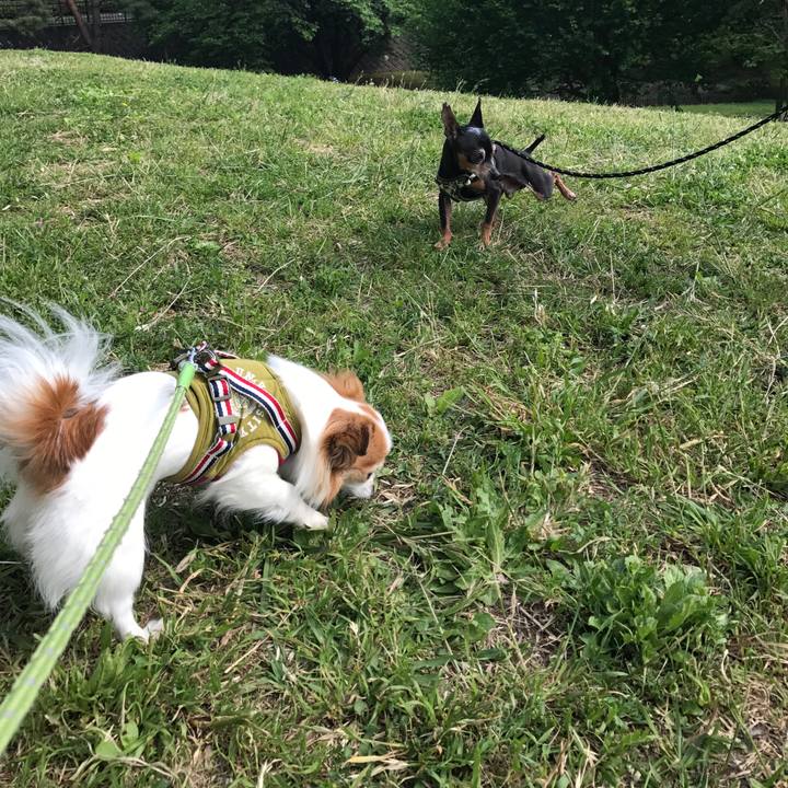 C2d81bfd 0177 4898 94aa 0f01484f7e9a