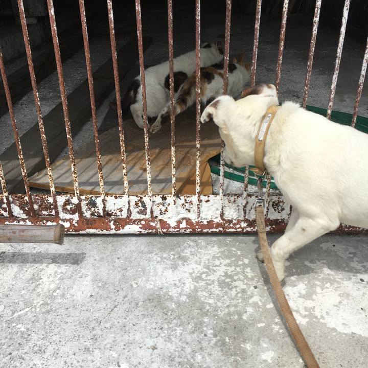 C2d83439 c31d 403d 909a b42c13f26b71