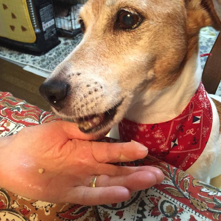 C2d91716 c710 4ed2 b463 5398998379ce