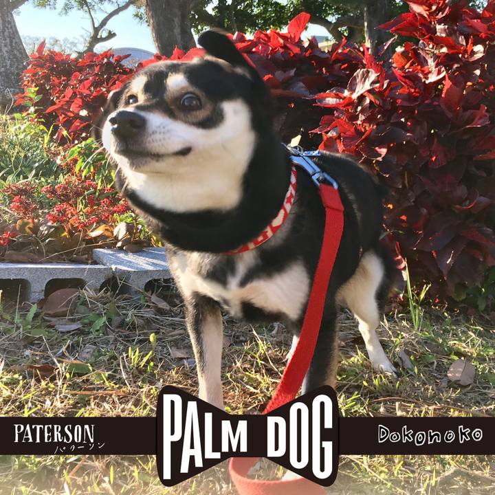 C2d92d94 47a4 4775 92ee 92600d7927e0