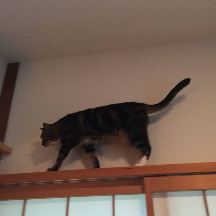 C2d94879 8c7d 49bc 9468 a367a7247233