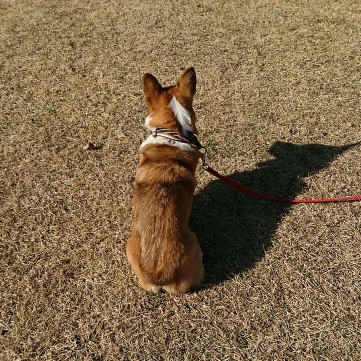 C2d9dce1 e3d0 4d14 bd6c ceeb87f98536