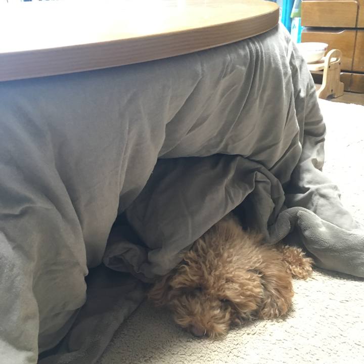 C2d9ff5c 2eec 4574 8774 be638262539e