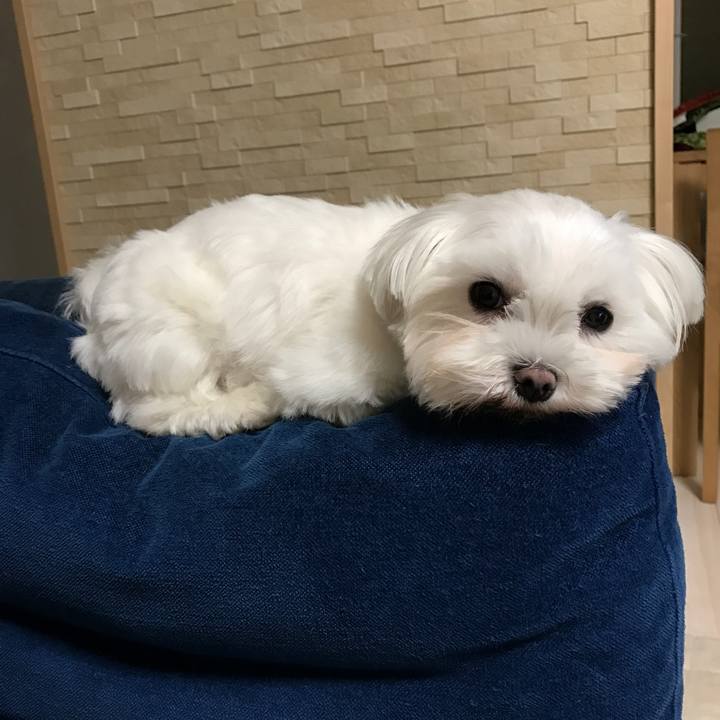 C2db19bb a093 4461 adc5 4d0ff83875e7