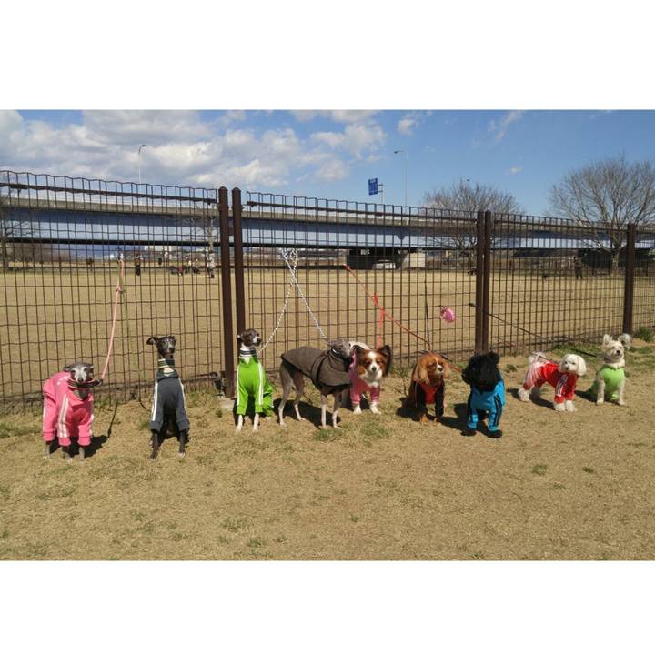 C2db5d5c babe 4dec 9a65 d4403c894f87