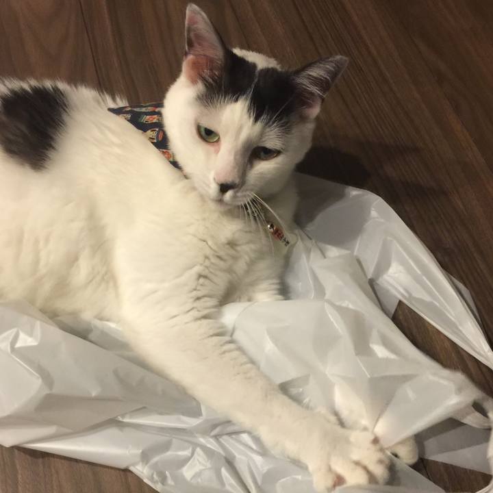 C2dbd45b 286e 4927 9d4a d6cf36839f16