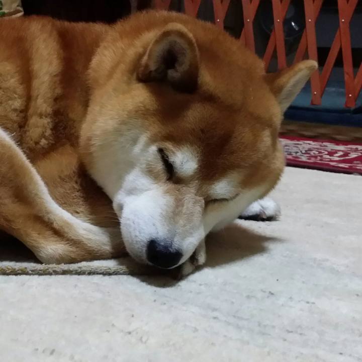 C2dc346f e38b 4561 8551 3c68f21dbcaf