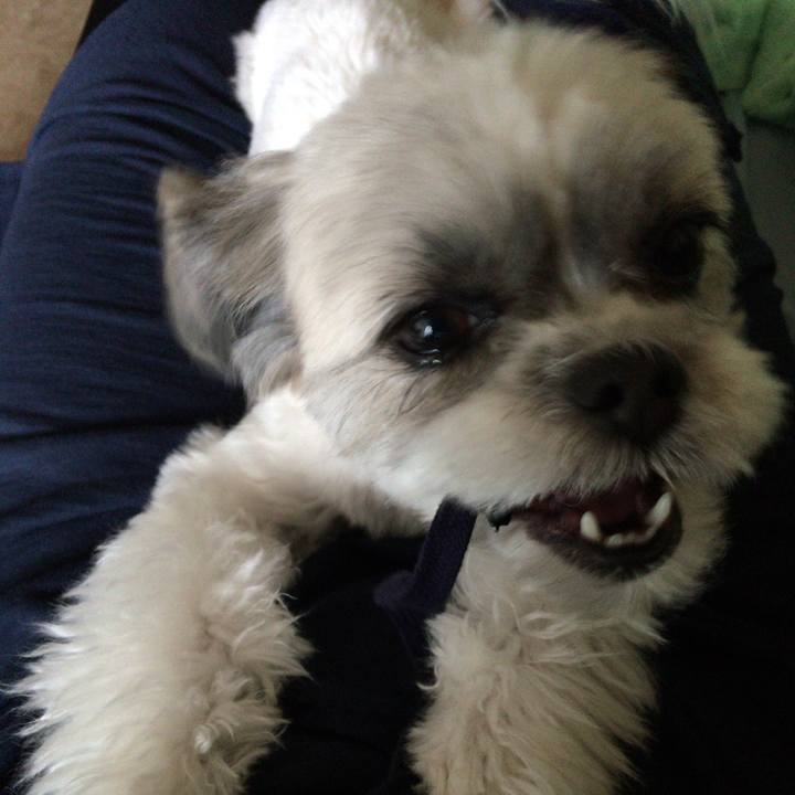 C2dc9f34 a67b 4574 b37e e2bdca2cbfca