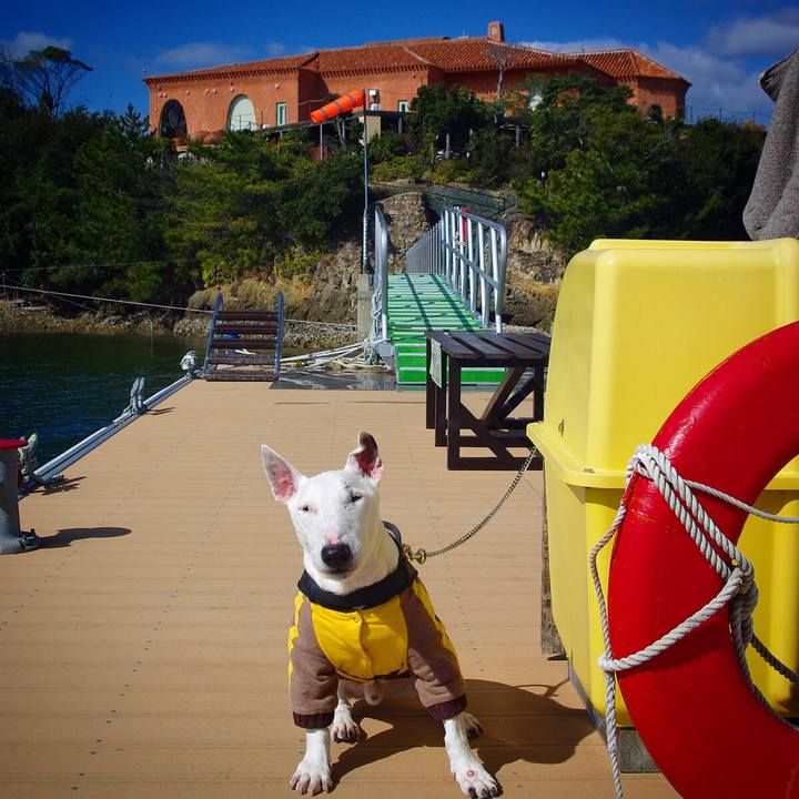 C2dd2ec1 1954 492d b46c f652fea759cb