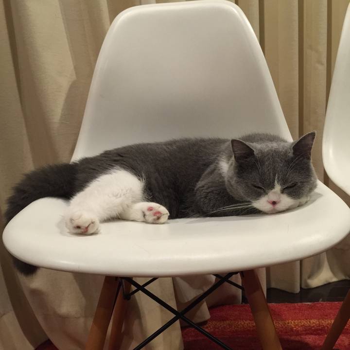 C2dd33a7 986a 4705 9bf5 8254f2a38bdd