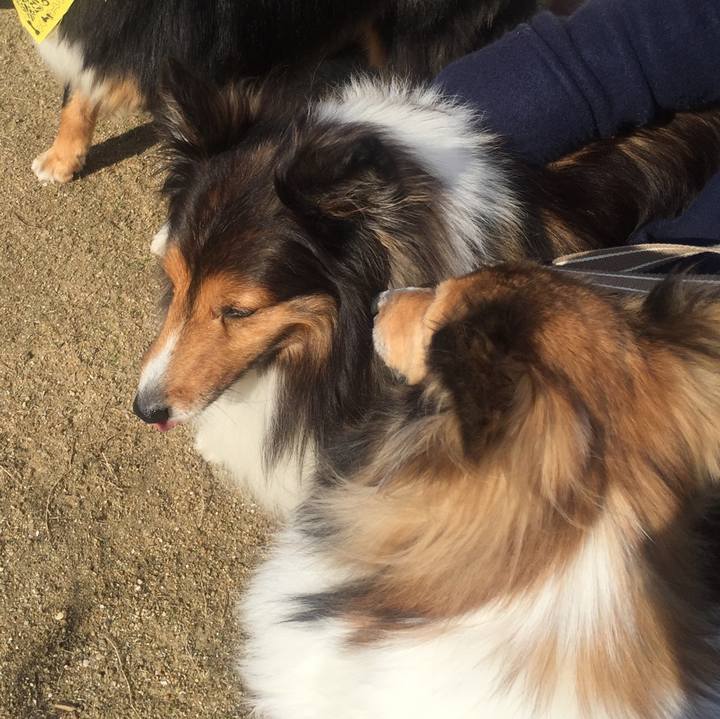 C2dd73ff b14a 493d 97fd 9e848cab9b8c