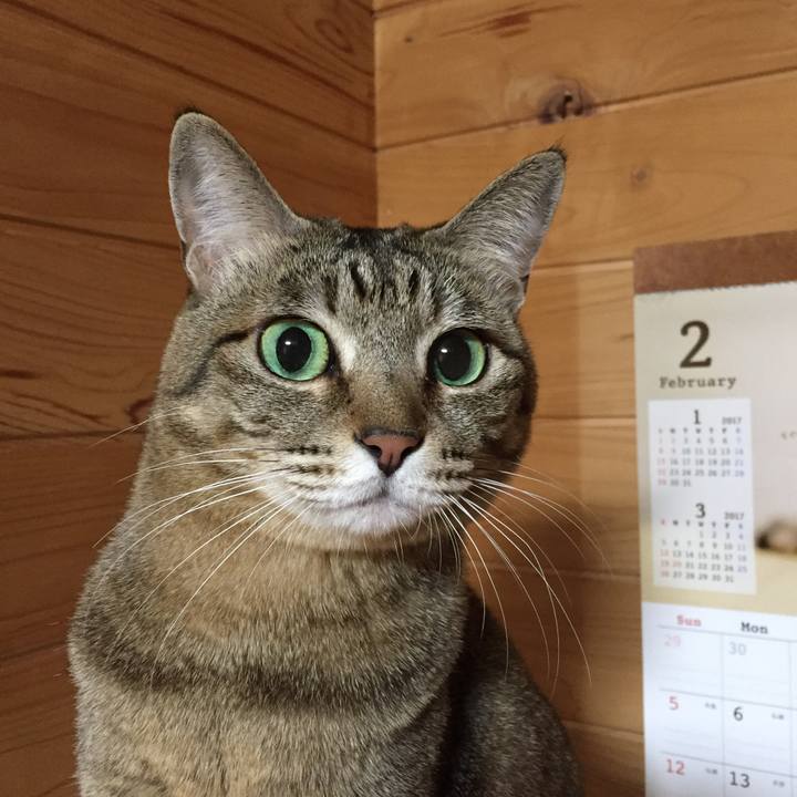 C2de090f a527 41ff 8bd6 26cffd715390