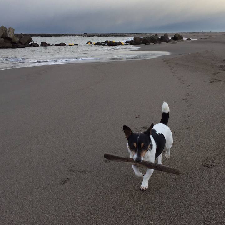 C2dea491 b83e 4570 8ade eda69d0f1168