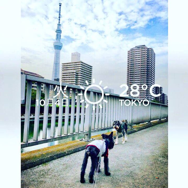 C2deed32 97e1 4258 a34b e712685ae026