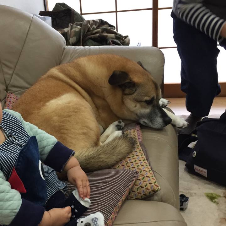 C2dfba91 f5d5 4279 9f48 d94d4fe6845b