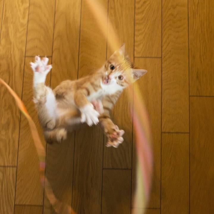 C2dfbe8b abc6 44c7 a66a 93f53a7eae04