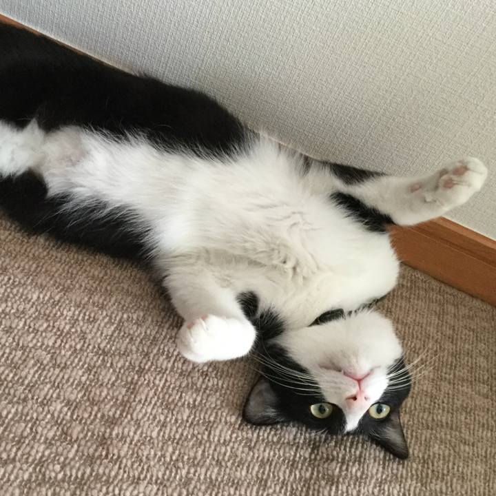 C2e0b114 7010 4fa3 9c8f 288a75b83b15