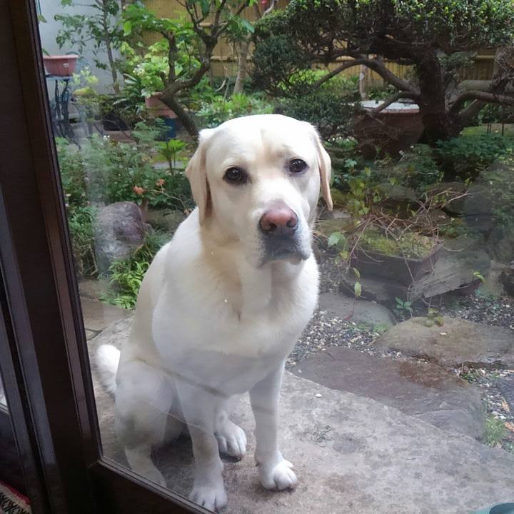 C2e0b4cb 8b5e 4ade a6ac f8901e34d86a