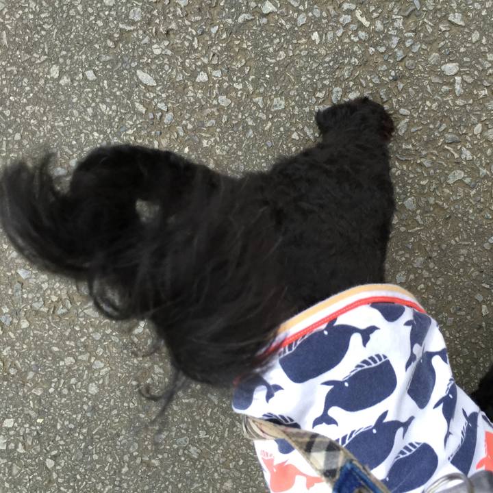 C2e167d4 8fcb 4629 bef4 3da151cfd016