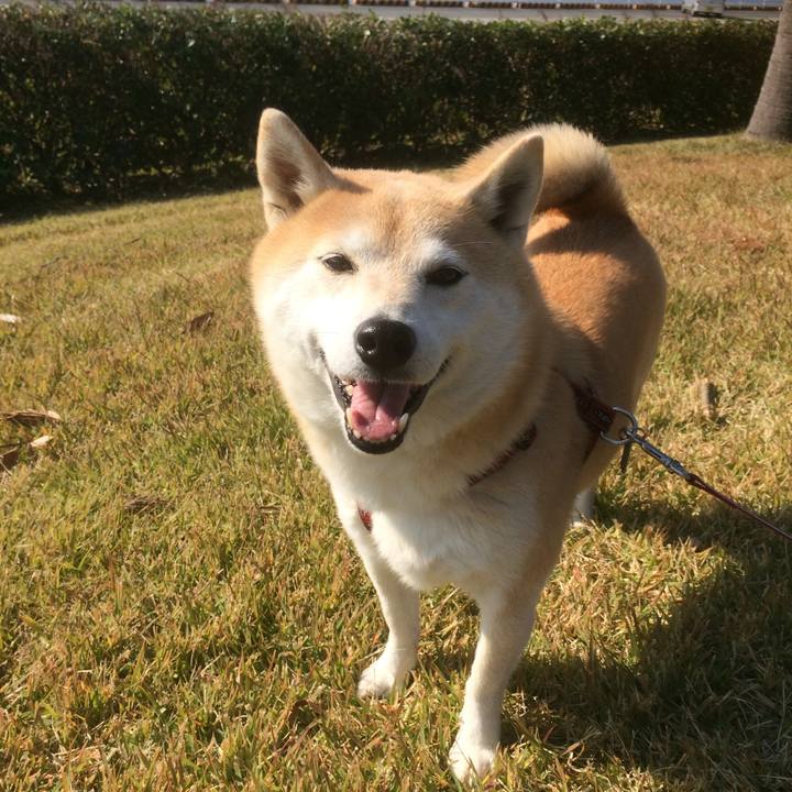 C2e16e93 c6c4 42b8 b1ad f2fe49b1bcc0