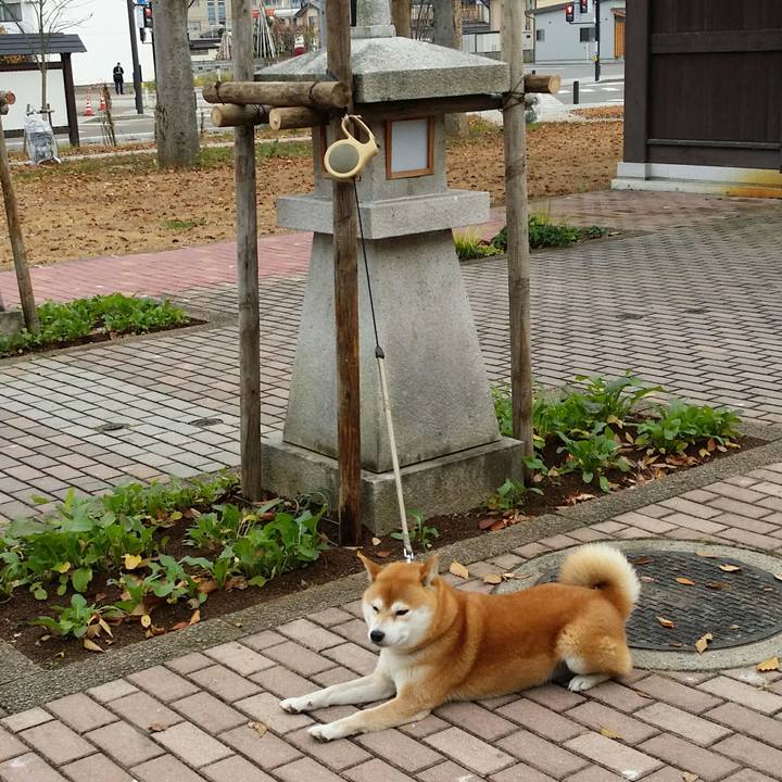 C2e19424 9d7f 4a4b 97c2 a293d42067eb