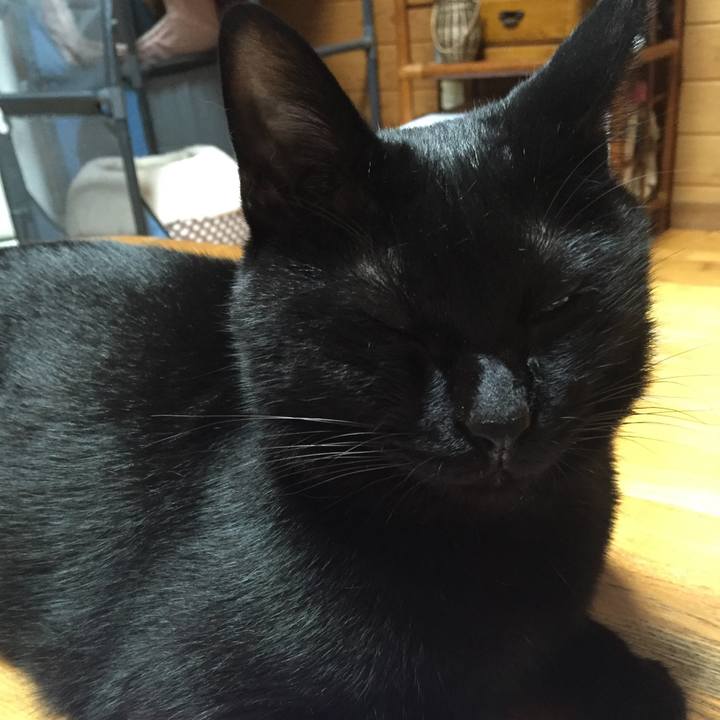 C2e1aaf7 7b19 4496 8f95 712041501246