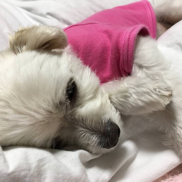 C2e1d906 4945 42e6 bb3b a32796dd3e0b