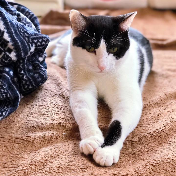 C2e1f9b0 e553 42dd 9ffb 6bfb98bea761