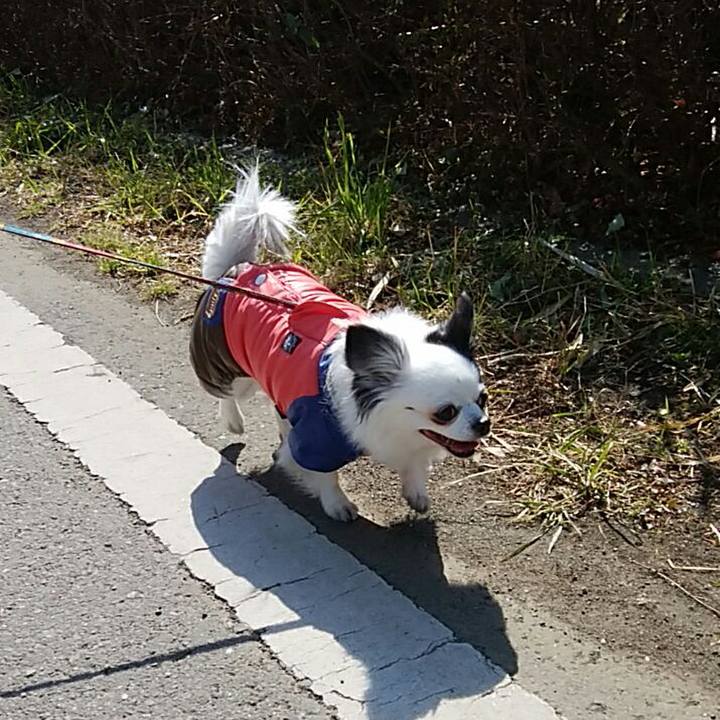 C2e29d9d 9e37 44b6 8490 379c268ba445