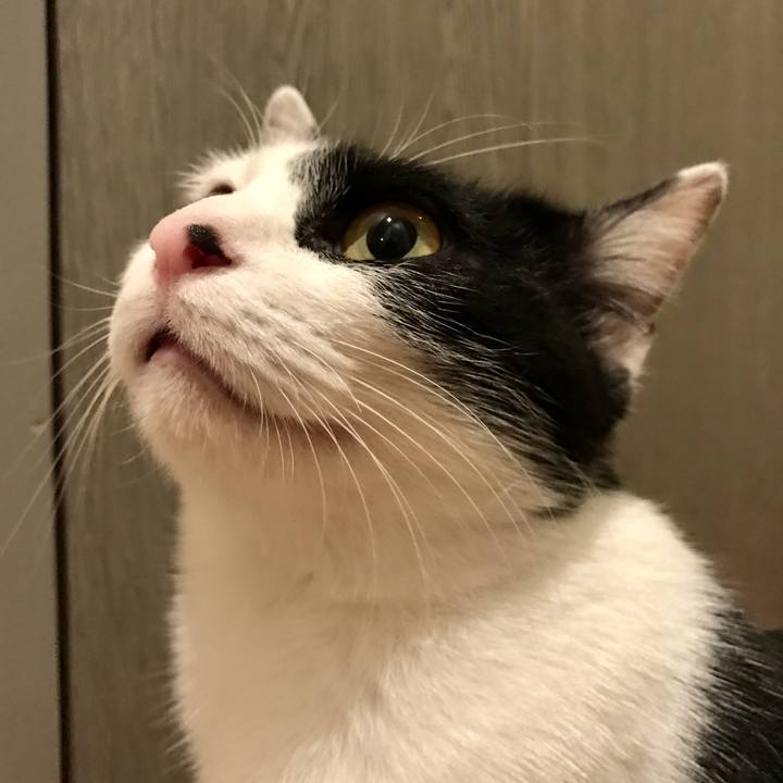 C2e3234e 9c22 4526 9427 981105374d75