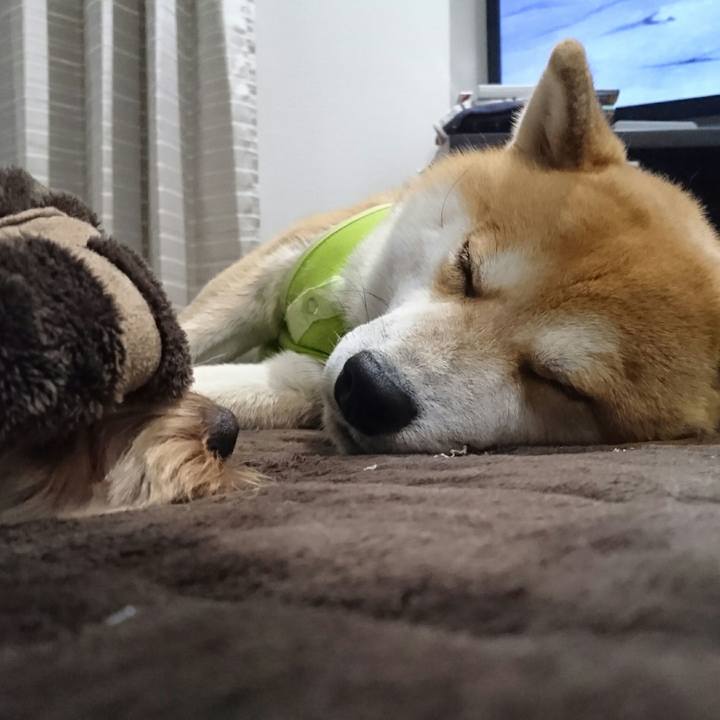 C2e3509d 03be 471f aa54 38f808e4ee11