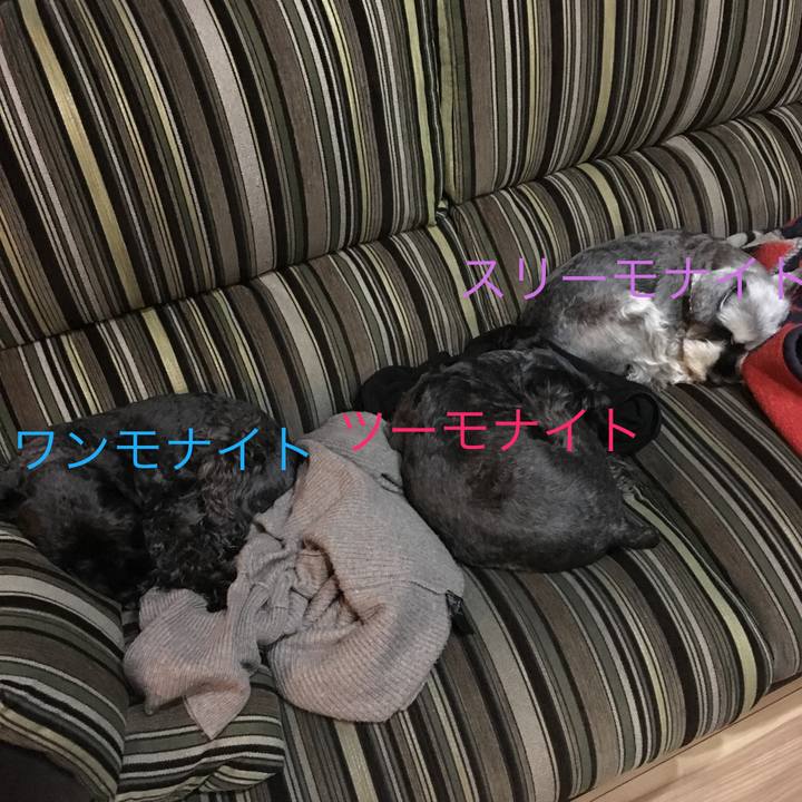 C2e356f0 6651 403f ac55 0765e3528e57