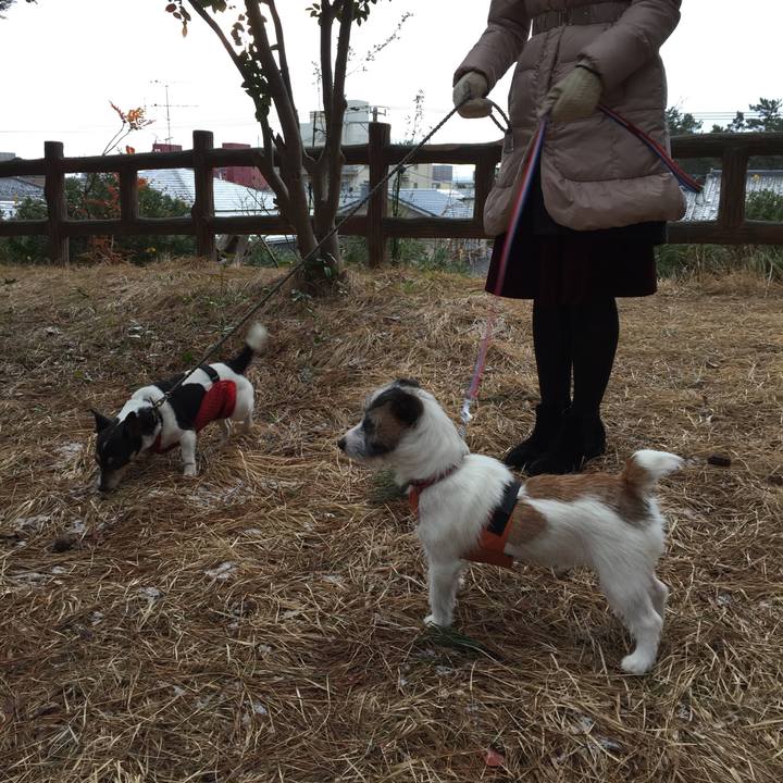 C2e4923a 90e3 4736 a9b7 44a95d659f29