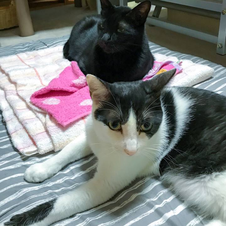 C2e4bbb4 b081 4fb1 a089 5c2eeb97d63e