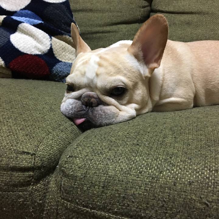 C2e59fa4 ab28 4e2b 9fe7 b2b5c8d8e1d8