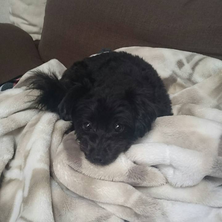 C2e61b64 9436 49b9 a1e8 8a252469c214