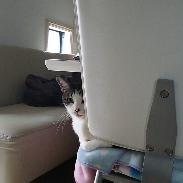 C2e61cef fd4d 45d2 9493 afb105c29346