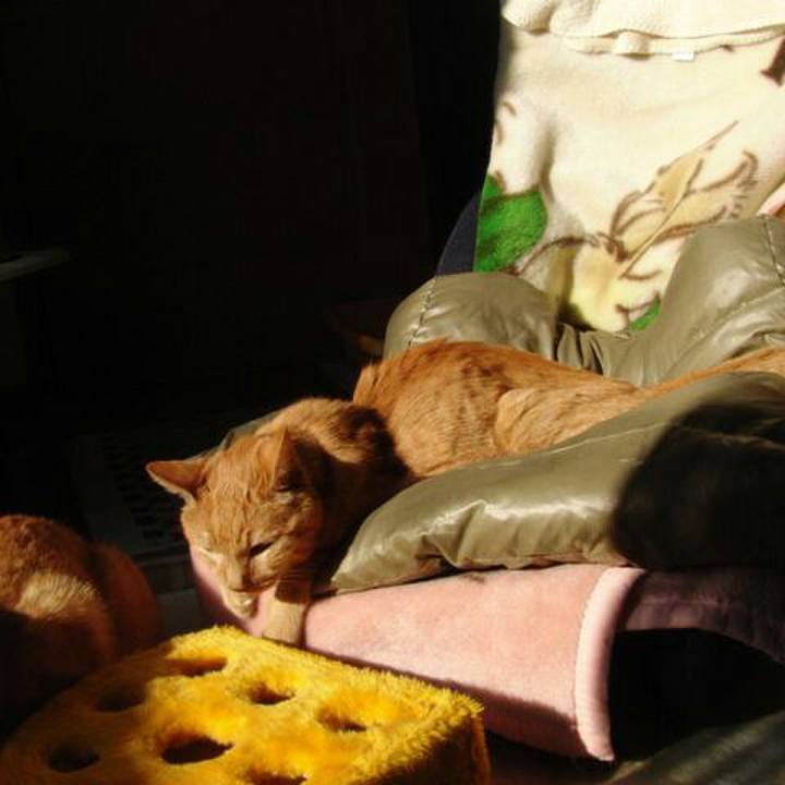 C2e6611c e87a 48cc 8e81 fbe28a251beb